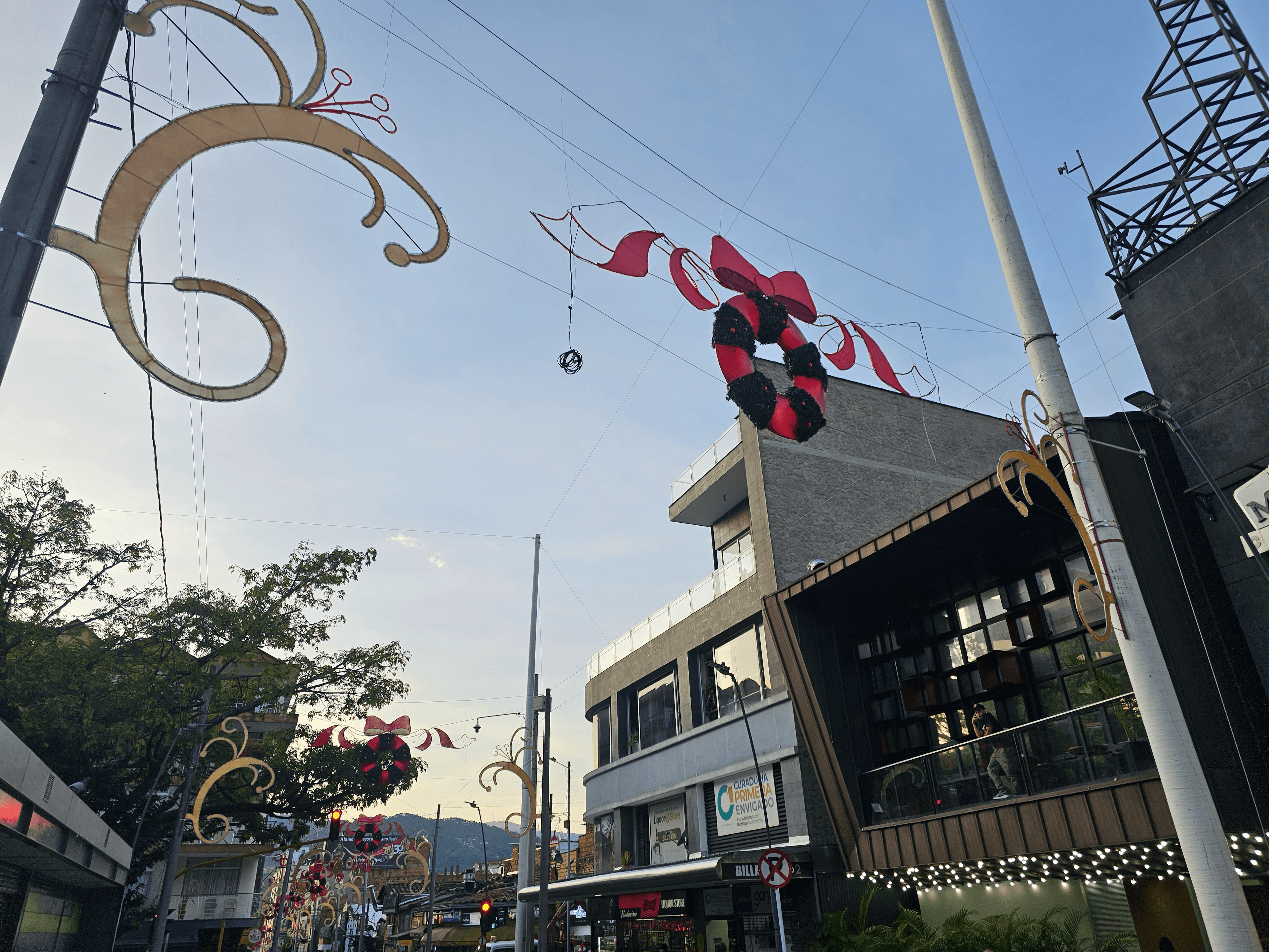 Alumbrado Navideño 2024